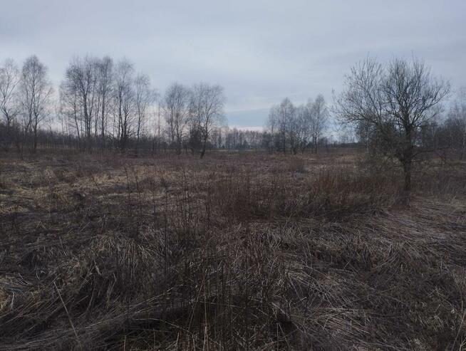 Działka budowlana Rybnik Ligota