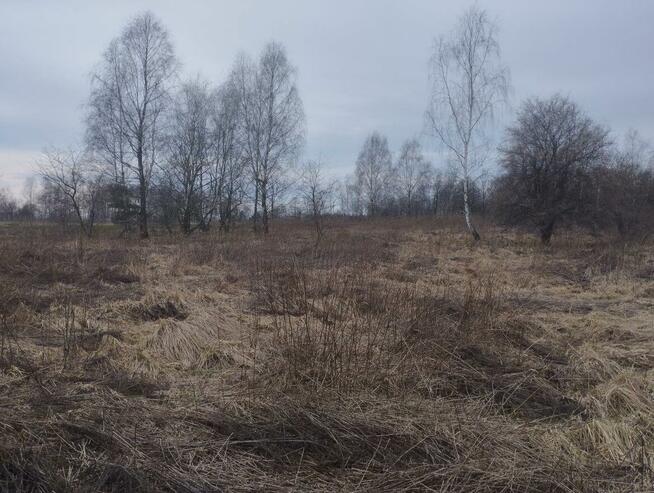 Działka budowlana Rybnik Ligota