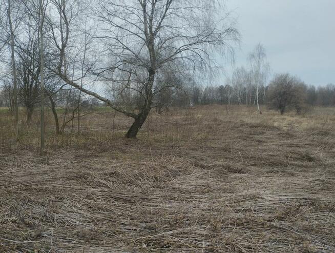 Działka budowlana Rybnik Ligota