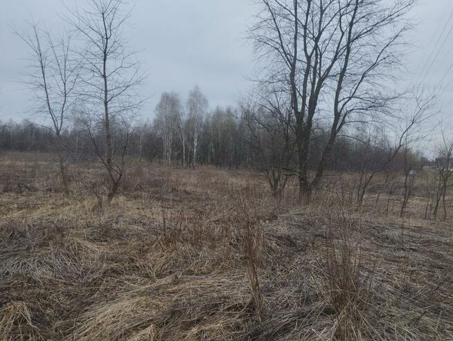 Działka budowlana Rybnik Ligota