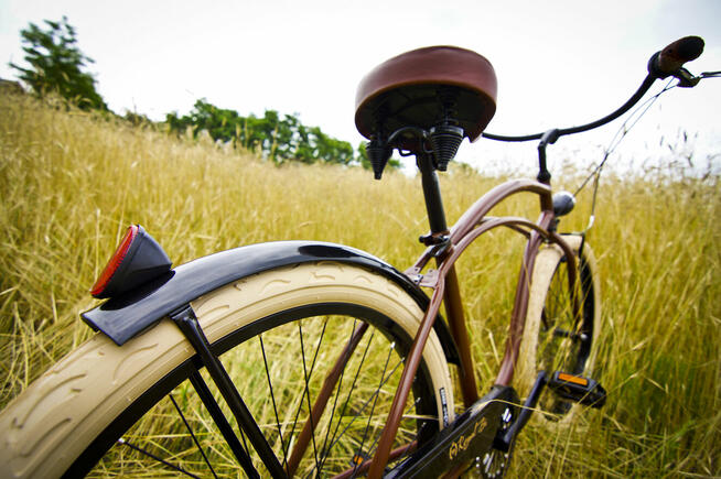 Rower miejski 26 28 beach Cruiser RoyalBi męski BLACK COFFEE