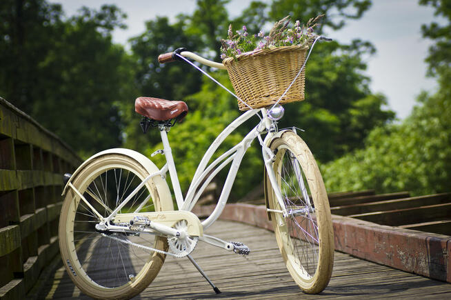 Rower miejski damski 26 28 cruiser damka CARMEL RoyalBi