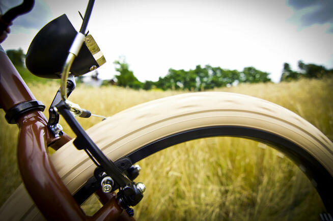 Rower miejski beach Cruiser RoyalBi męski 26 / 28 BROWNIE