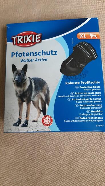Buty ochronne dla psa