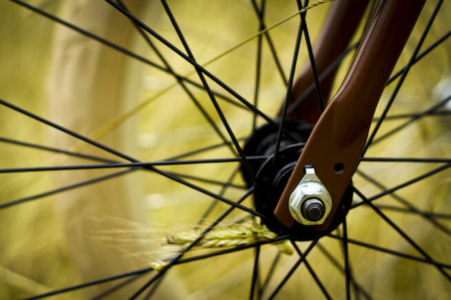 Rower miejski beach Cruiser RoyalBi męski 26 / 28 BROWNIE