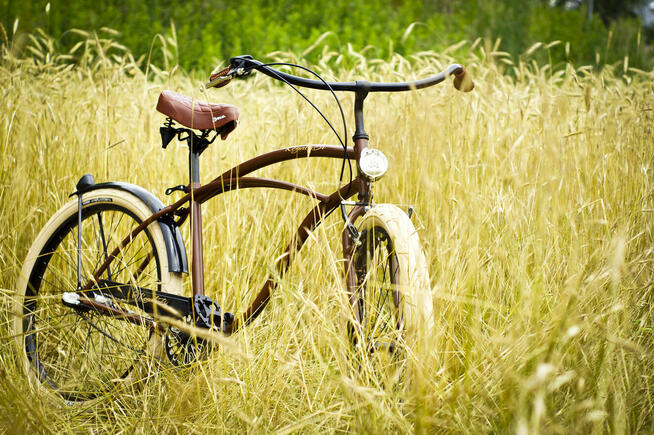 Rower miejski 26 28 beach Cruiser RoyalBi męski BLACK COFFEE