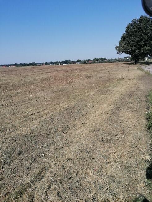 Mulczer leśny mulczowanie karczowanie czyszczenie działek