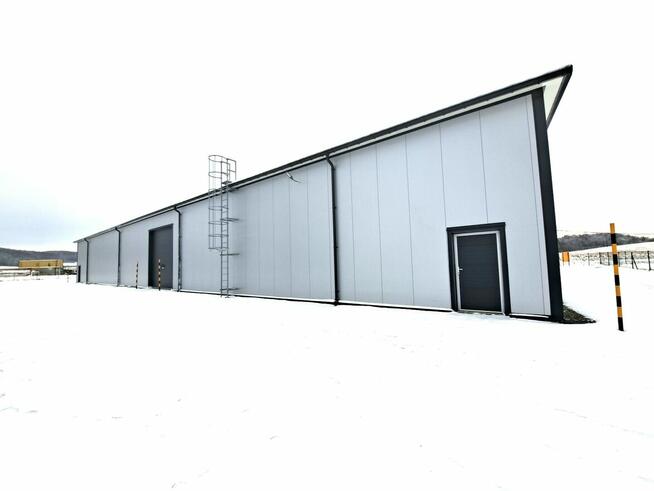 Do wynajęcia hala 920 mkw. z utwardzonym placem Pakoszówka