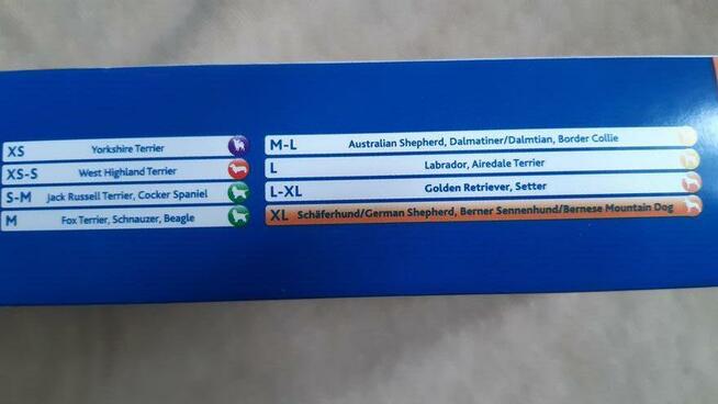 Buty ochronne dla psa