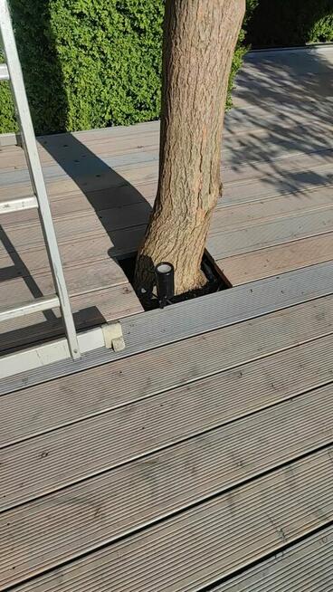 Deska tarasowa modrzew europejski 25/28x145 mm AB/C