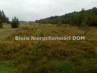Działka siedliskowa Krasice gm. Mstów