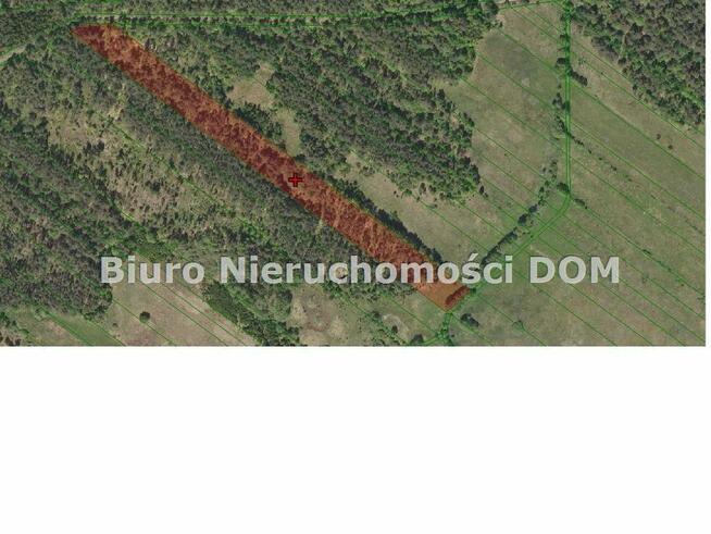 Działka siedliskowa Krasice gm. Mstów
