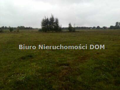 Działka siedliskowa Krasice gm. Mstów