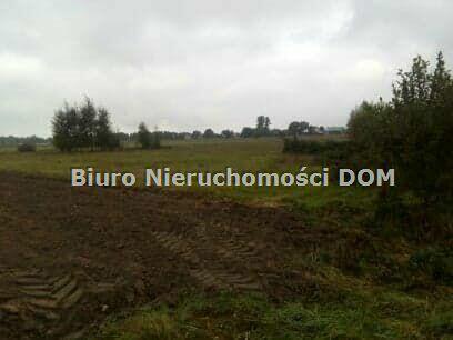 Działka siedliskowa Krasice gm. Mstów