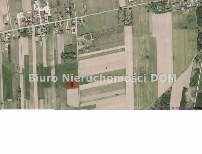 Działka siedliskowa Krasice gm. Mstów