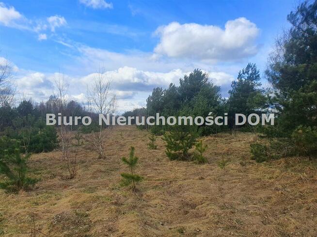 Działka usługowa Przymiłowice-Podgrabie gm. Olsztyn