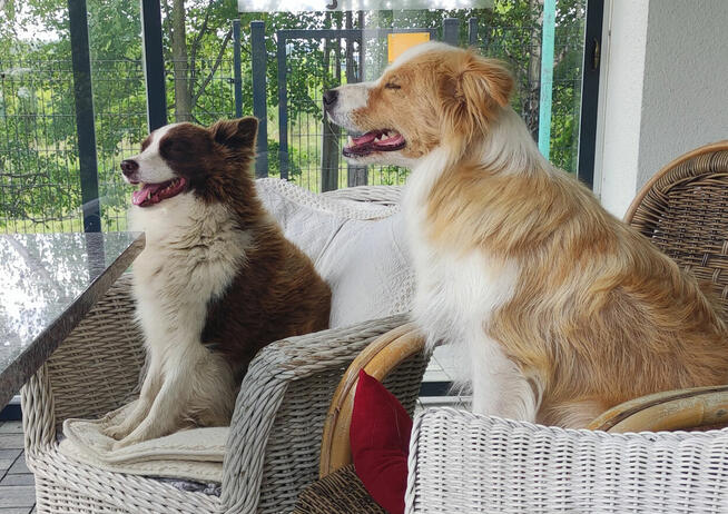 Noclegi - Agroturystyka - Wynajem - Wypoczynek