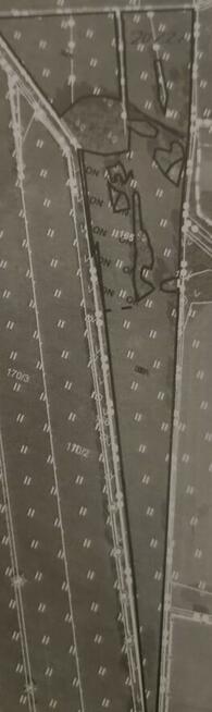 Sprzedam 4,45 ha ziemi V VI klasy