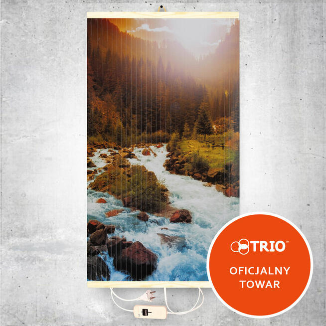 Grzejnik ścienny na podczerwień TRIO (Grzejący obraz)