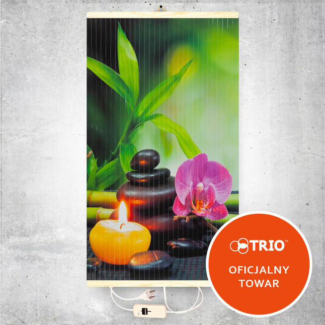 Grzejnik ścienny na podczerwień TRIO (Grzejący obraz)