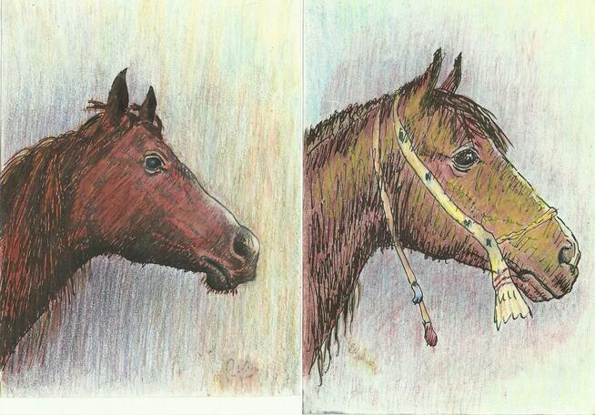 Grafiki, rysunki.,konie i inne; Renata Bulicz