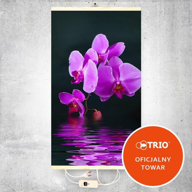 Grzejnik ścienny na podczerwień TRIO (Grzejący obraz)