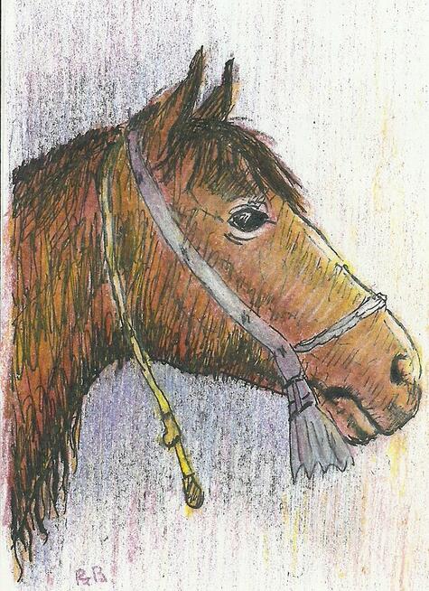 Grafiki, rysunki.,konie i inne; Renata Bulicz