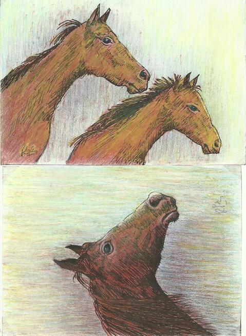 Grafiki, rysunki.,konie i inne; Renata Bulicz