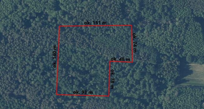 DZIAŁKA LEŚNA W MIEJSCOWOŚCI SŁUPIEC, GMINA SZCZUCIN !!