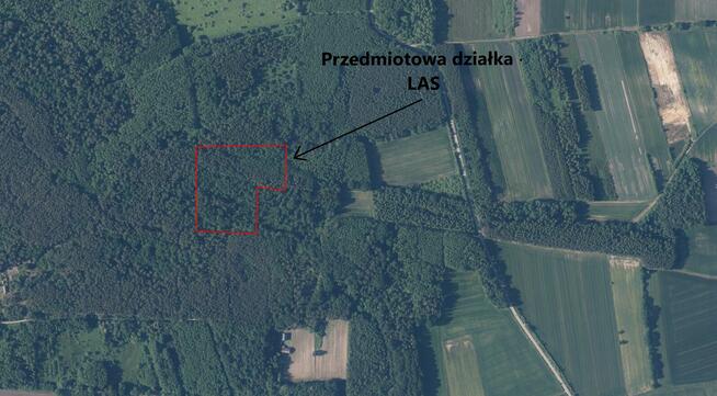 DZIAŁKA LEŚNA W MIEJSCOWOŚCI SŁUPIEC, GMINA SZCZUCIN !!