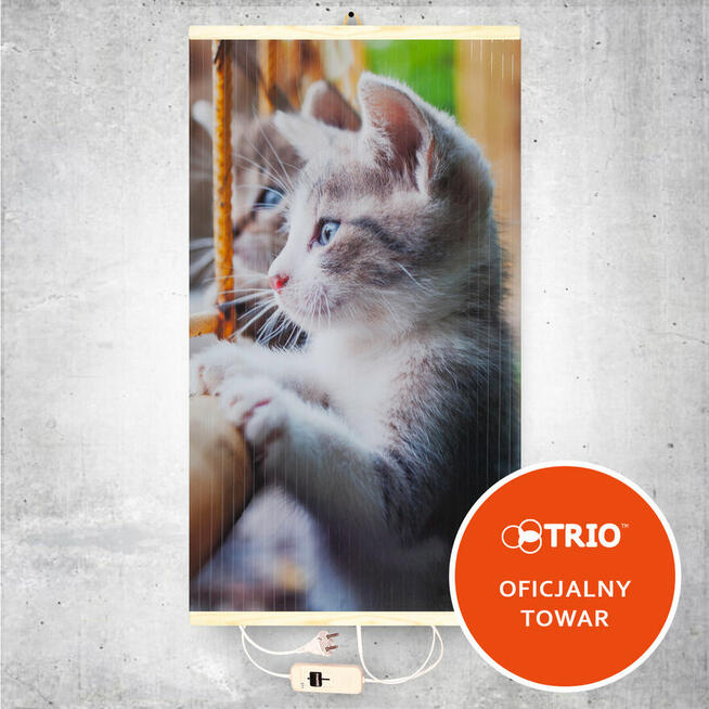 Grzejnik ścienny na podczerwień TRIO (Grzejący obraz)