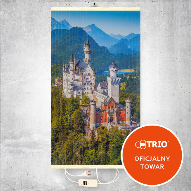 Grzejnik ścienny na podczerwień TRIO (Grzejący obraz)