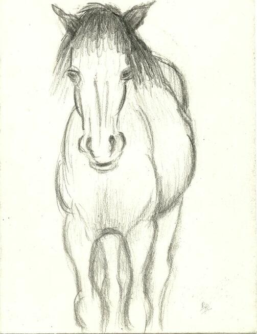 Grafiki, rysunki.,konie i inne; Renata Bulicz