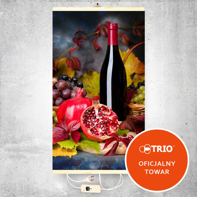 Grzejnik ścienny na podczerwień TRIO (Grzejący obraz)