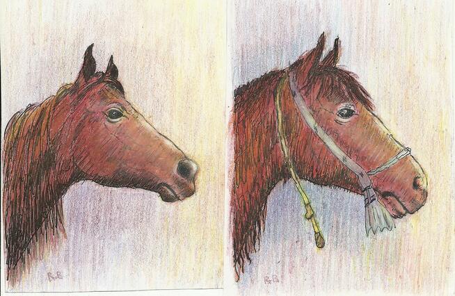 Pejzaże, Akwarele, pastele, grafiki