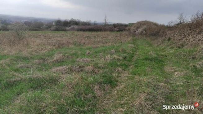 Myszków (Nowa Wieś) - działka rolna (3417m2)