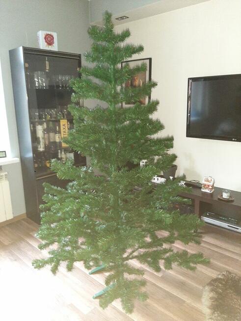 Choinka 180 cm