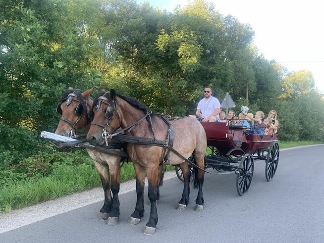 Wakacje atrakcje w Karpaczu przejażdżka bryczką
