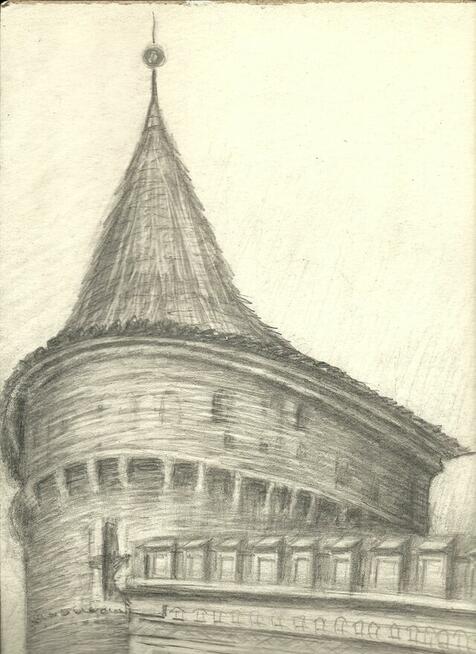 Grafiki, rysunki.,konie i inne; Renata Bulicz