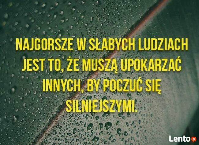 >>>na bezdomności !!>> & Szokujące &co za tupet! >&