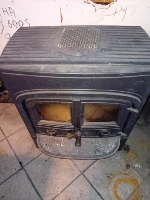 Kominek z niedźwiedziem