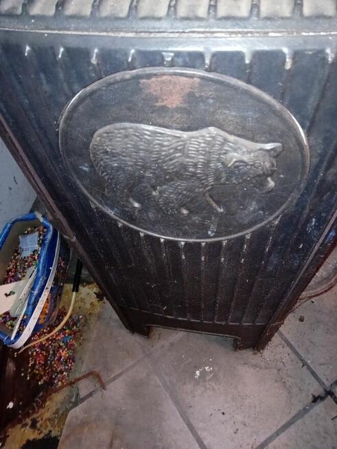 Kominek z niedźwiedziem