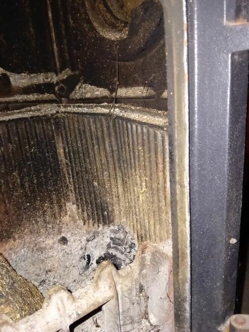 Kominek z niedźwiedziem