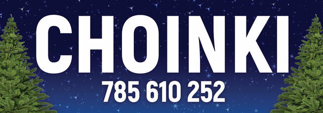 Choinka żywa jodła świerk cięte i w donicy choinki DOWÓZ