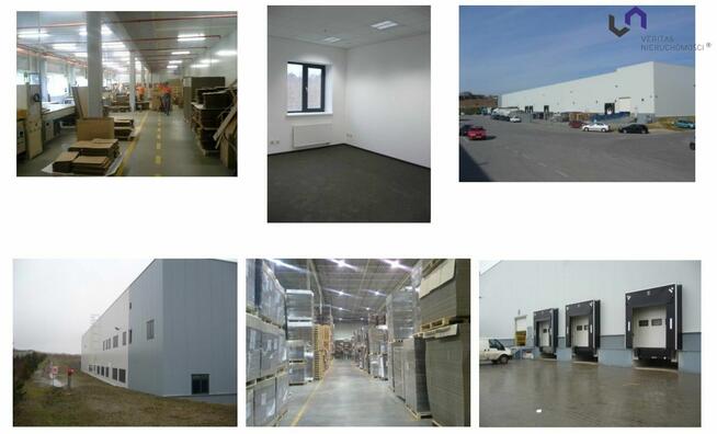 Lokal użytkowy Czeladź