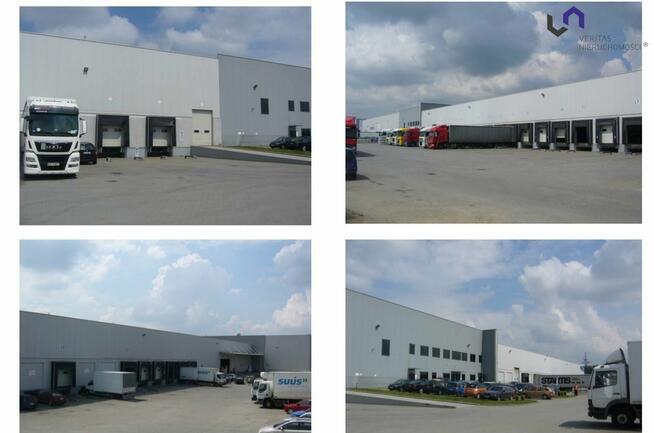 Lokal użytkowy Czeladź