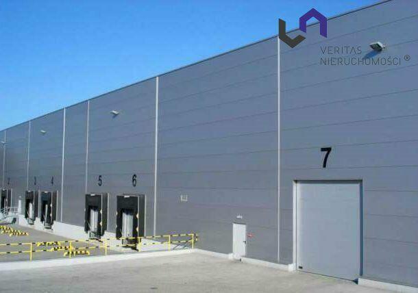 Lokal użytkowy Rybnik