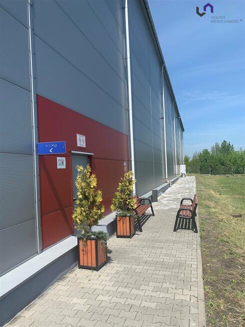 Lokal użytkowy Rybnik