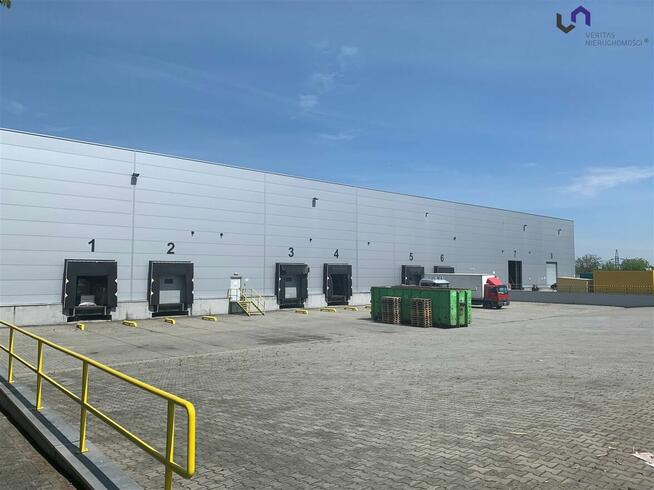 Lokal użytkowy Rybnik