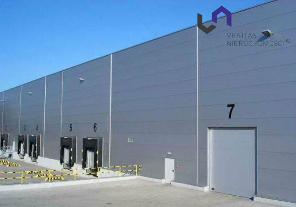 Lokal użytkowy Rybnik